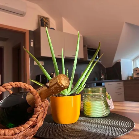 Lemon Garden Villapark Διαμέρισμα Bük